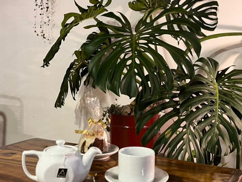 Cafetería/Pasteleria